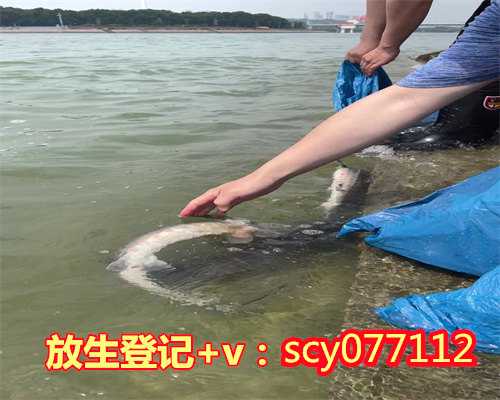 上海闵行放生群，上海寺庙举行请职仪式