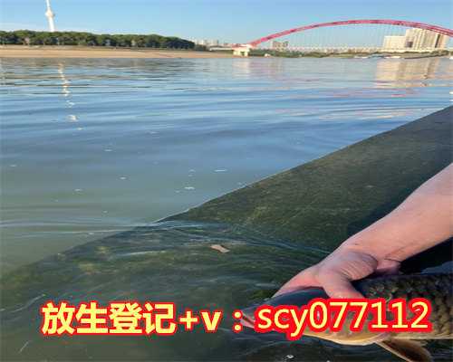 上海哪里适合放生鳝鱼，上海龙华古寺照诚大和尚荣获第八届上海市慈善之星