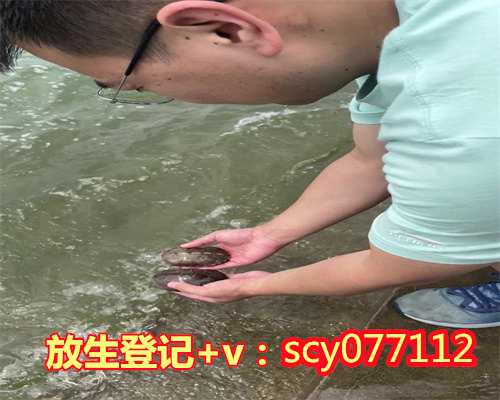 上海放生鱼苗，上海放生鳝鱼在哪里，上海哪里放生金鱼