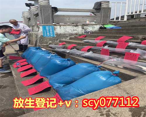 上海适合放生鱼的公园，上海七宝教寺