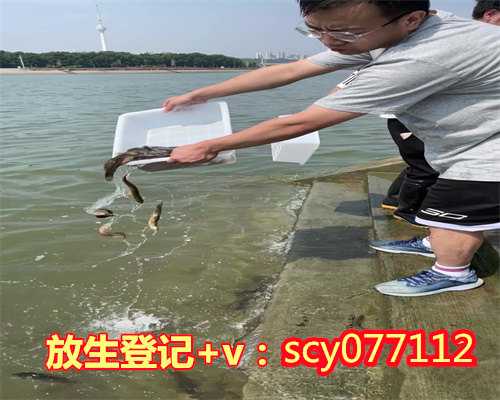 上海为什么那么多放生的，上海奉贤二严寺