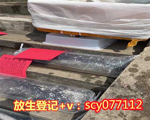 上海放生刺猬在哪里，上海市政协主席吴志明一行赴上海龙华古寺调研