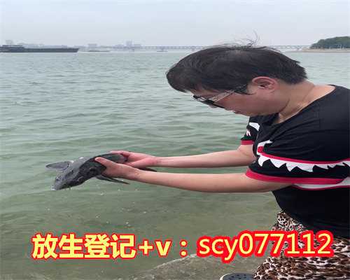 上海放生黄鳝要说什么，上海上海放生，