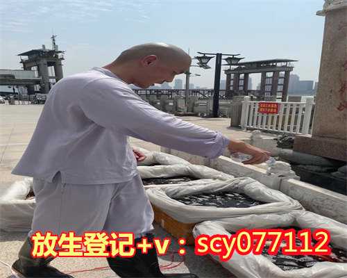 上海放生甲鱼，上海东林寺今日起对外开放