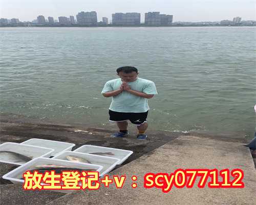 上海放生鸟哪卖，上海市政协主席吴志明一行赴上海龙华古寺调研