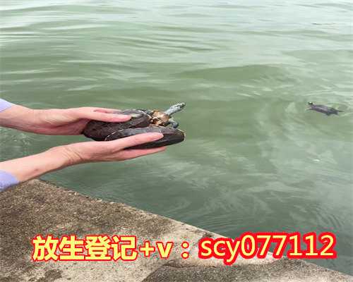 上海水质好适合放生，上海龙华古寺向上海市市红十字会捐款100万元