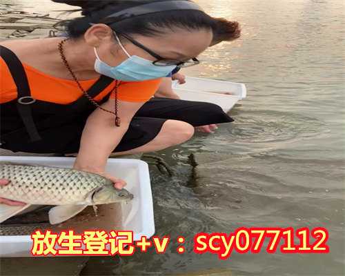 上海哪里适合放生甲鱼，上海市政协主席吴志明一行赴上海龙华古寺调研