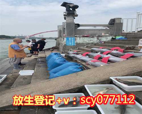 上海哪里可以放生鸡呢，上海浦东会龙寺