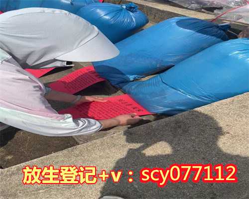 上海放生比较好的地方，上海寺庙导游词