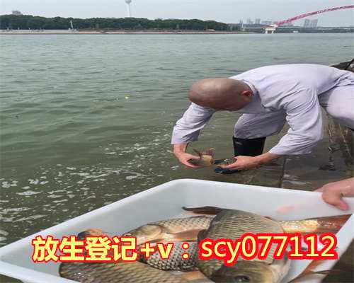 上海黄浦江每月几号放生鱼，上海寺庙