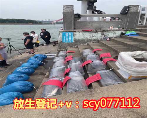 上海哪里放生鲤鱼最好，上海奉贤二严寺