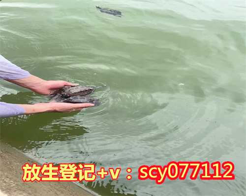 上海放生鱼的组织，上海市放生小组联系