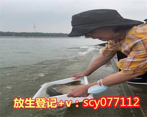 上海放生比较好的地方，上海寺庙导游词