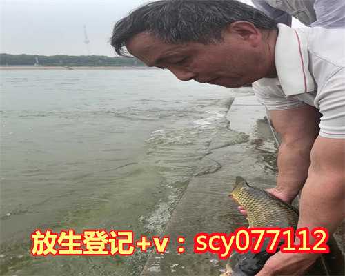 上海何地可以放生鲤鱼，上海二严寺为上海塘沽爆炸事件受难者诵经祈福