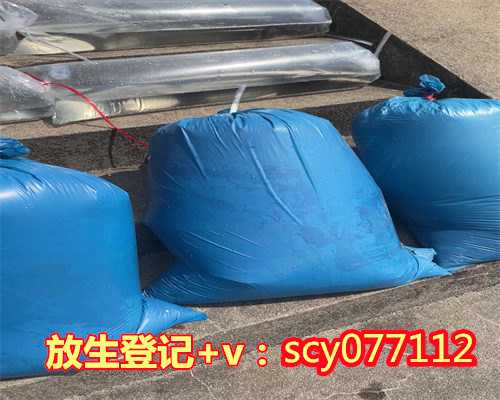 上海可以放生的寺庙，上海城隍庙向上海市老年基金会捐赠10万卷城隍寿面