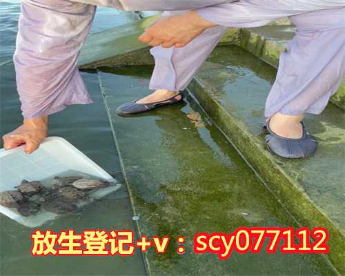 上海哪里有放生的地方，上海奉贤二严寺