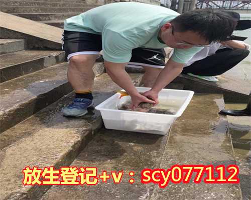 上海去哪里放生比较好，上海奉贤二严寺