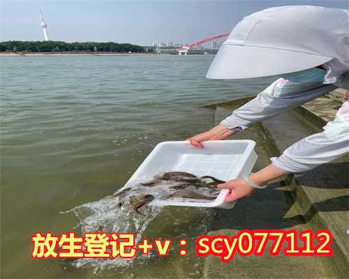 上海何地可以放生鸡，上海市政协主席吴志明一行赴上海龙华古寺调研