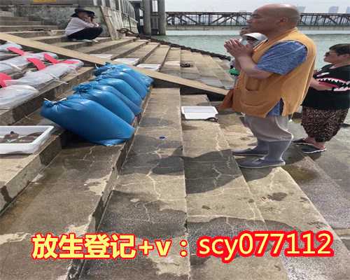 上海哪里可以放生鳖呢，上海寺庙导游词